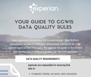 Your Guide to CCWIS Data Quality Rules