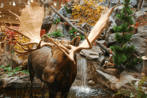 Outfitting Cabela's with the right email verification data