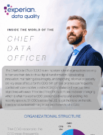 Inside the world of the Chief Data Officer