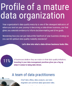 The profile of a data mature organization