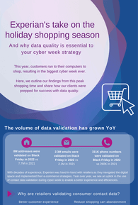 Experian's take on the holiday shopping season 2022