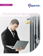 The role of the CIO in data management
